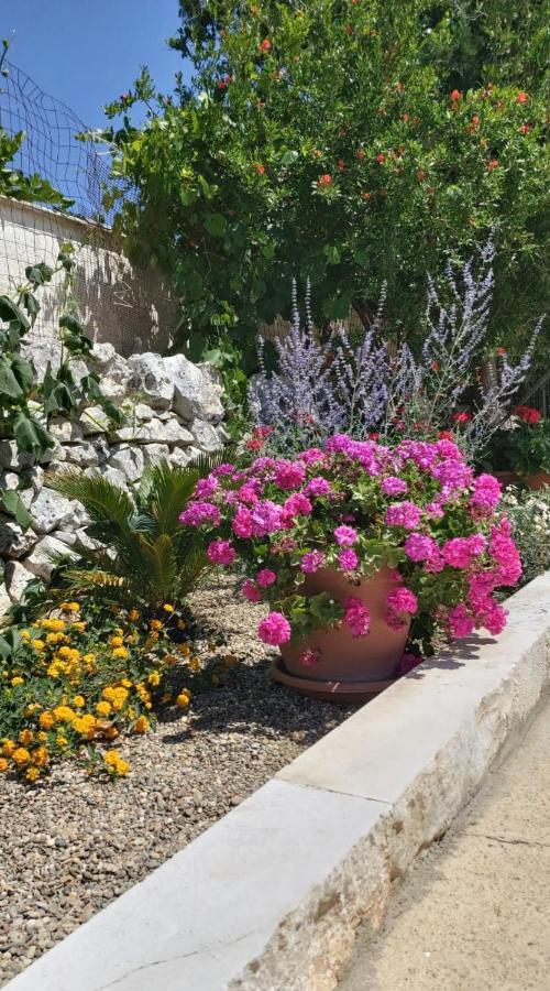 Masseria Parco Delle Casette Алберобело Екстериор снимка